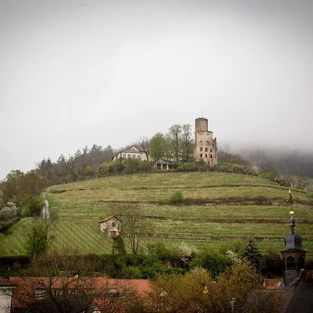 Trip Kaiser & Restaurant Heidelberg-schriesheim 4*