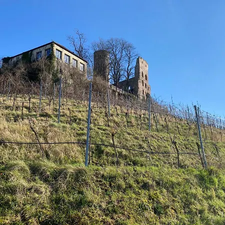 Trip Kaiser & Restaurant Heidelberg-schriesheim 4*