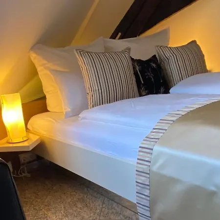 Hotel Trip Kaiser & Restaurant Heidelberg-schriesheim